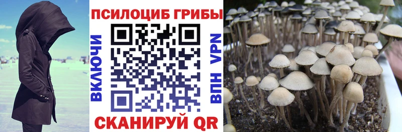 Псилоцибиновые грибы MAGIC MUSHROOMS  Каменка 